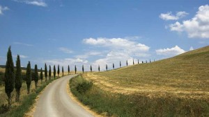 scoprire le colline toscane a cavallo